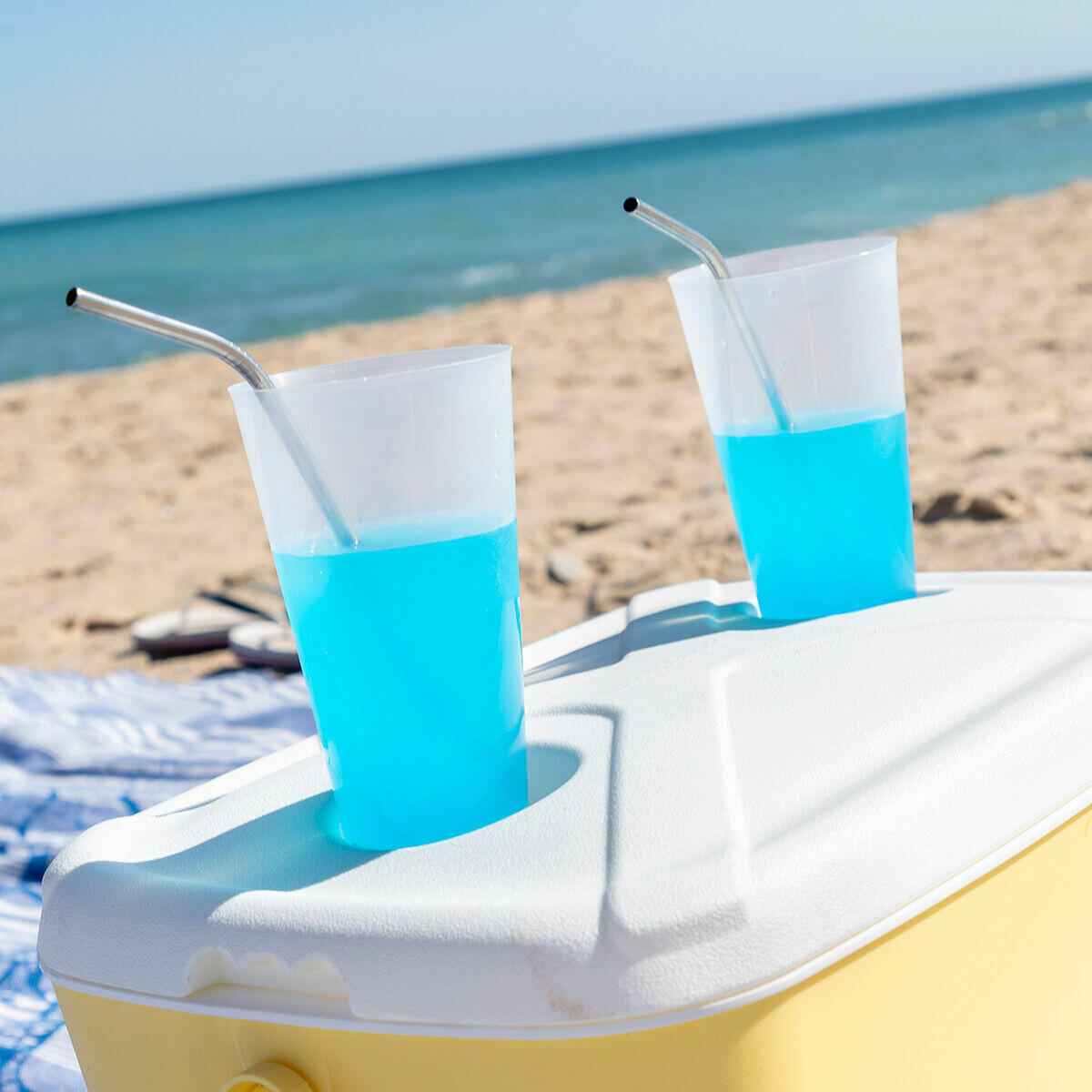 Nevera Portátil Rígida 15 L